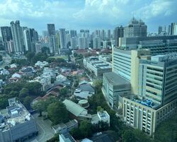 Mount Elizabeth Novena Hospital (D12), Retail #364487171